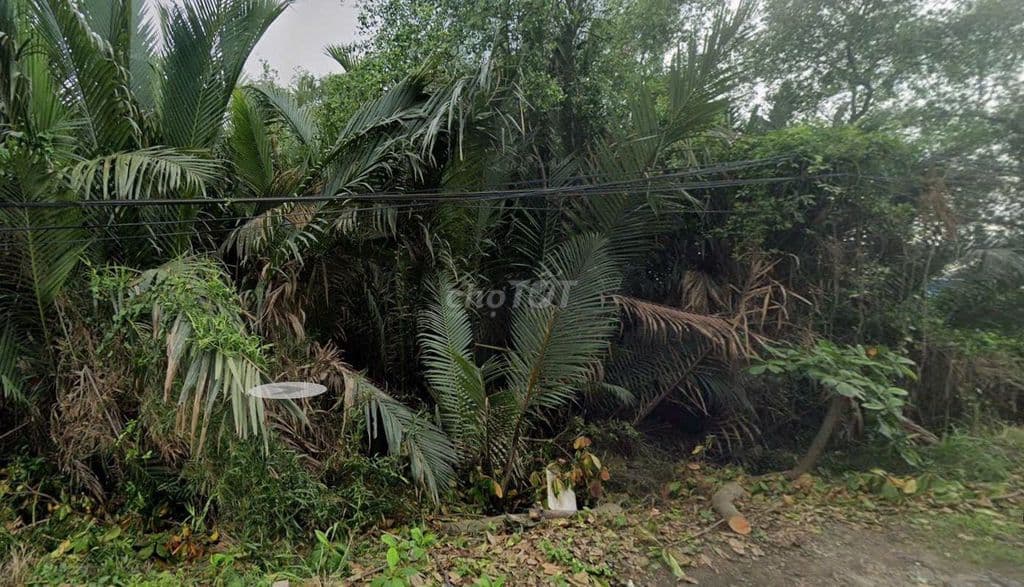 Bán đất ODT, 200m2, SHR, gần Đ. Nguyễn Thị Định, tiện xây CHDV - Ảnh 2