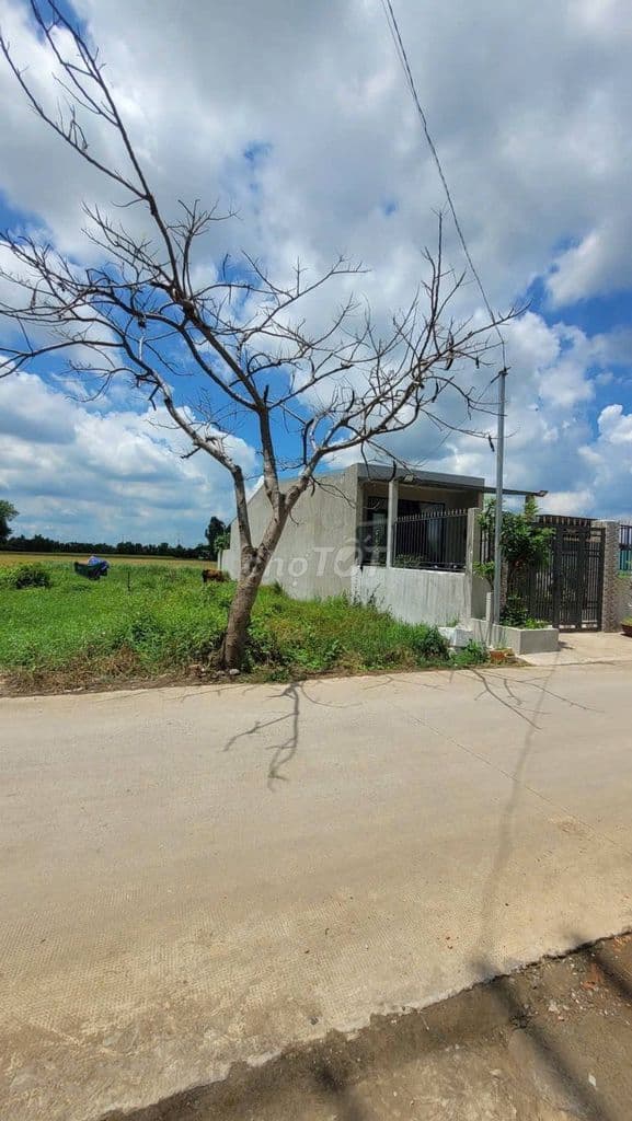 ĐẤT BÌNH CHÁNH GIÁ RẺ 98M2/1,15 TỶ. GẦN CHỢ BÁN GẤP CÓ BỚT LỘC - Ảnh 2