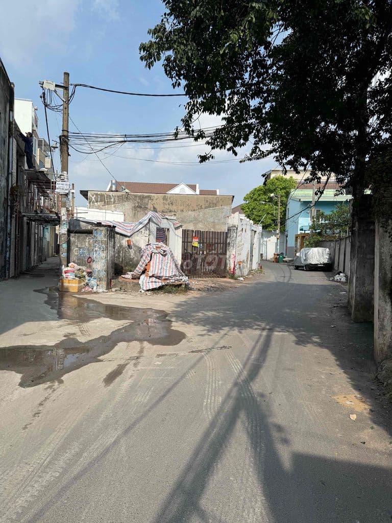 góc 3 mặt tiền đường 8 linh trung,thủ đức - Ảnh 2