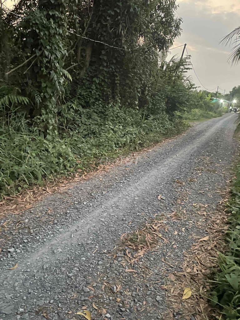 tôi bán mảnh đất vườn mặt tiền Kênh 10 giá rẻ 4 tỉ/ công - Ảnh 2