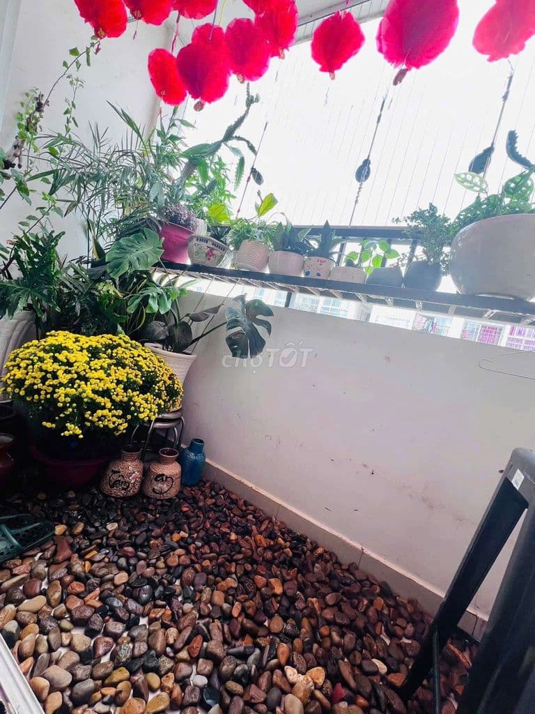 Bán 2PN 4S Linh Đông 70m² tầng cao, có sẵn khách thuê - Ảnh 3