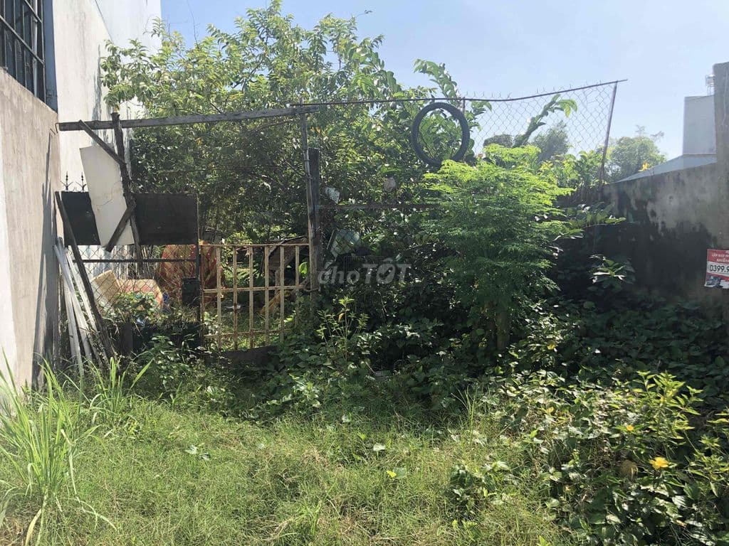 bán đất thổ cư - Ảnh 2