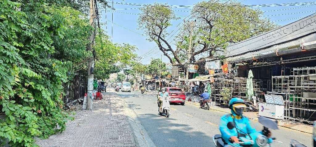 BÁN ĐẤT MẶT TIỀN QUẬN TÂN PHÚ 376M2 FULL THỔ HƠN 30 TỶ - Ảnh 2