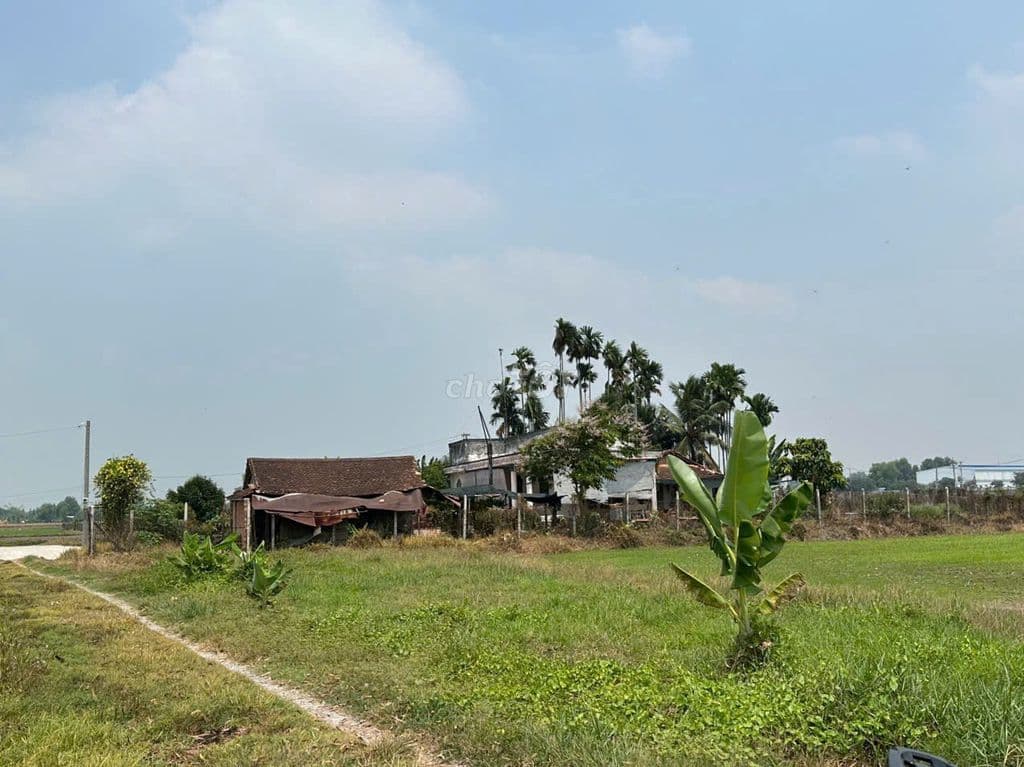 CHiNH CHỦ BÁN 500M ĐẤT THÁI MỸ - CỦ CHI -SHR- HỖ TRỢ VAY 80% - Ảnh 3