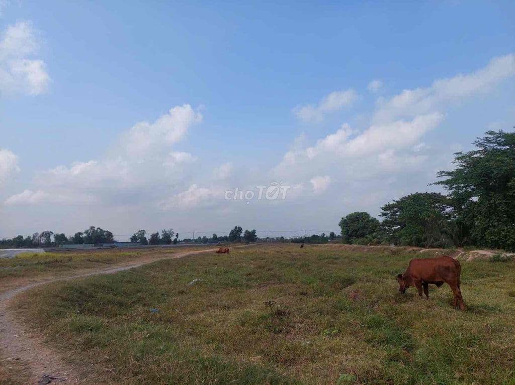 bán đất tân Vĩnh Lộc