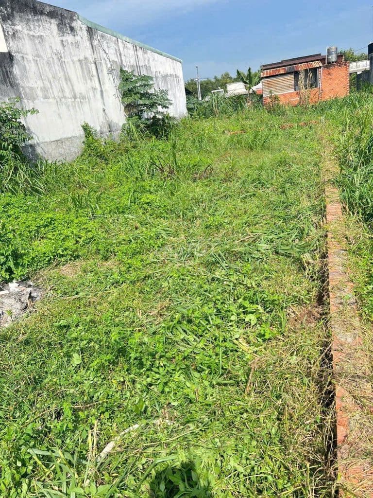 CẦN BÁN LÔ ĐẤT MT MAI THỊ BUỘI CỦ CHI 119M2 THỔ CƯ GIÁ 500TR SIÊU HOT