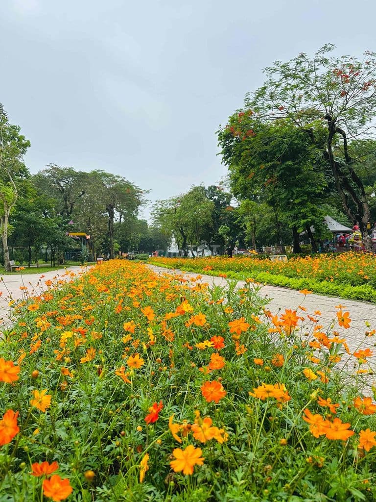 BÁN NHÀ P.NGUYỄN. Đ. CHIỂU Q.HBT-VÀI PHÚT ĐI BỘ SANG CV-DT 57m2-13.xtỷ - Ảnh 2