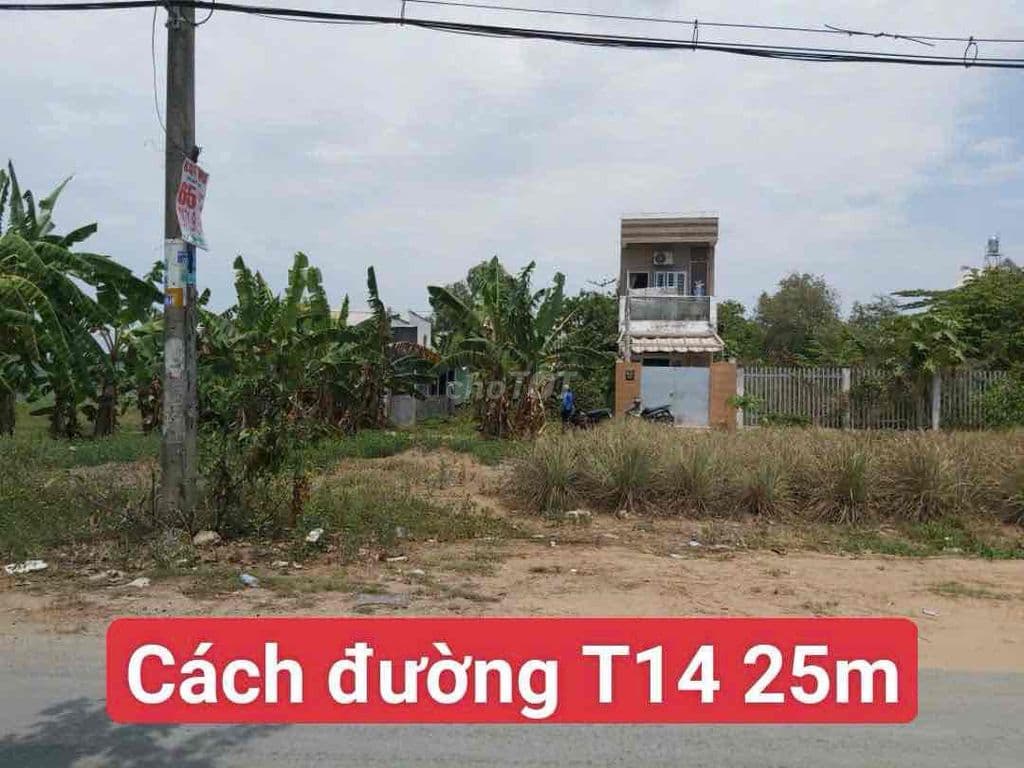 BÁN GẤP ĐẤT THỔ NỞ HẬU -TƯƠNG LAI RA MẶT TIỀN - Ảnh 2