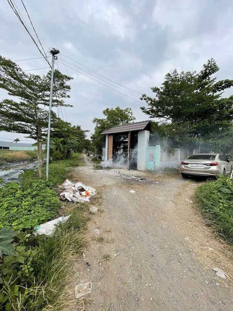 Cần bán gấp đất vườn 500m vị trí đẹp cách Vành Đai 3 700m Bình Mỹ - Ảnh 3