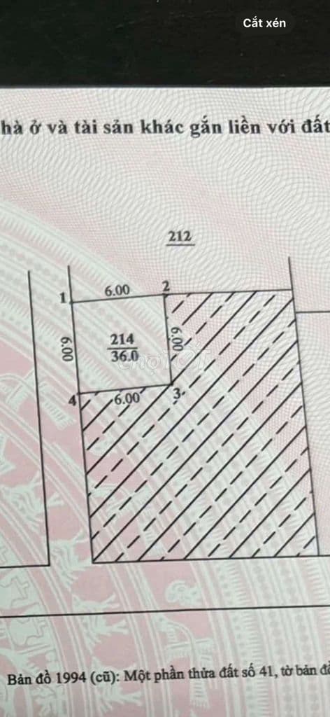 GIÁ ĐẦU TƯ! Bán đất Đại Cát, Liên Mạc _ Oto_ Ngõ thông _36m_ 4.x tỷ - Ảnh 3