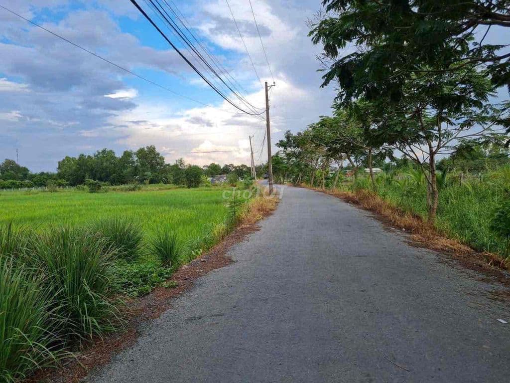 Bán rẻ đất MT Ba Chả 1842m2 giá 4tr/m2 QH dân cư kế bên Làng Đại Học - Ảnh 2