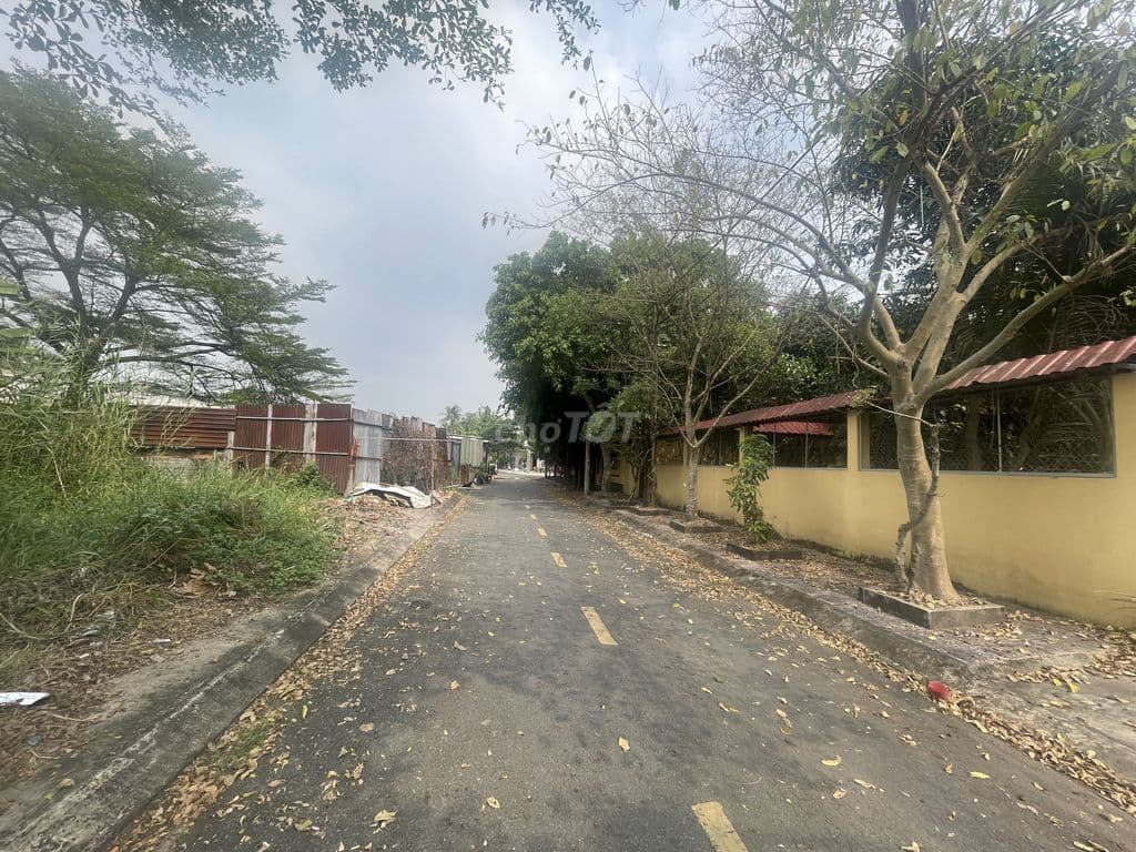 5 tỷ 5/nền 6x16 sổ cá nhân, không ép xây, KDC Phú Lợi - Ảnh 3