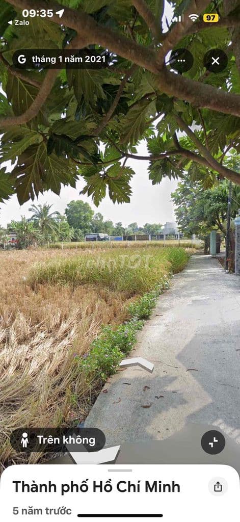 Bán 1000m đất Cây Lâu Năm Xã Hưng Long Bình Chánh - Ảnh 2