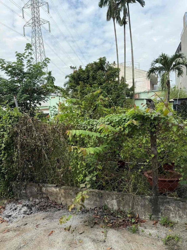 bán đất phước bình quận 9 - Ảnh 3