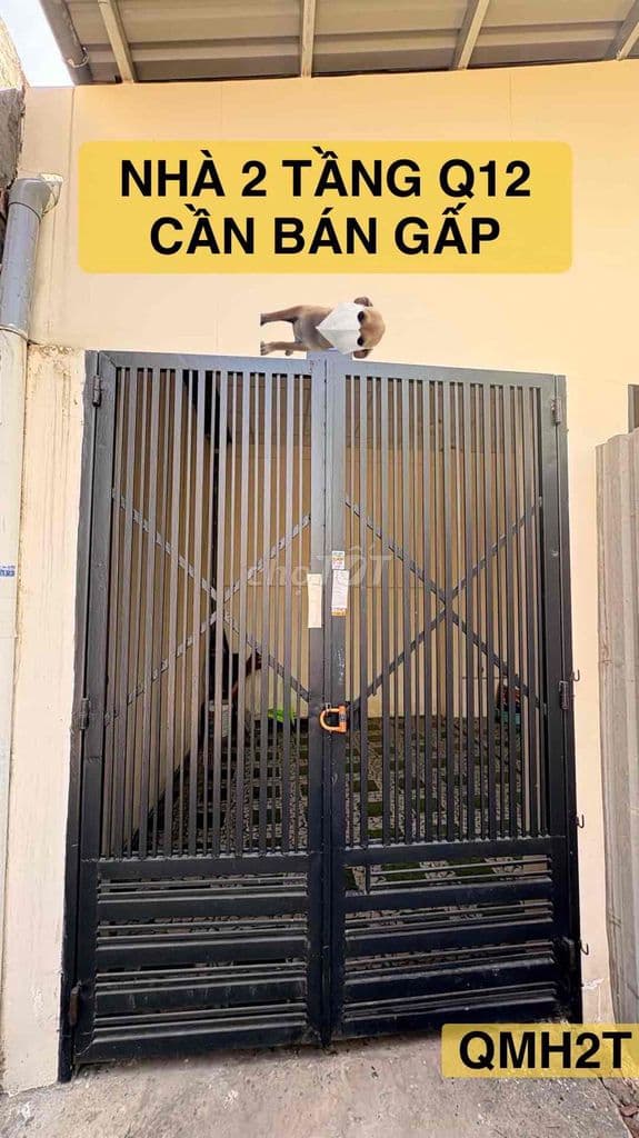 CHỦ GẦN BÁN GẤP NHÀ Q12 CHỈ 3.6 TỶ CÒN THƯƠNG LƯỢNG