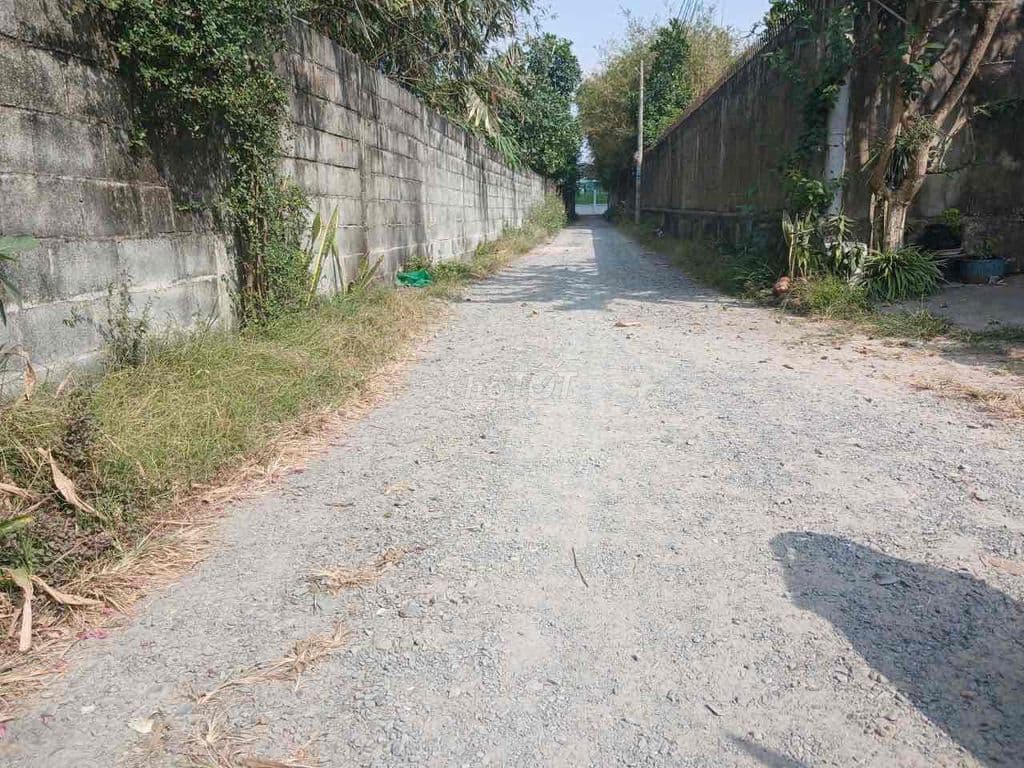 Đất ở Phước Vĩnh An (Củ Chi mới) - Ảnh 3