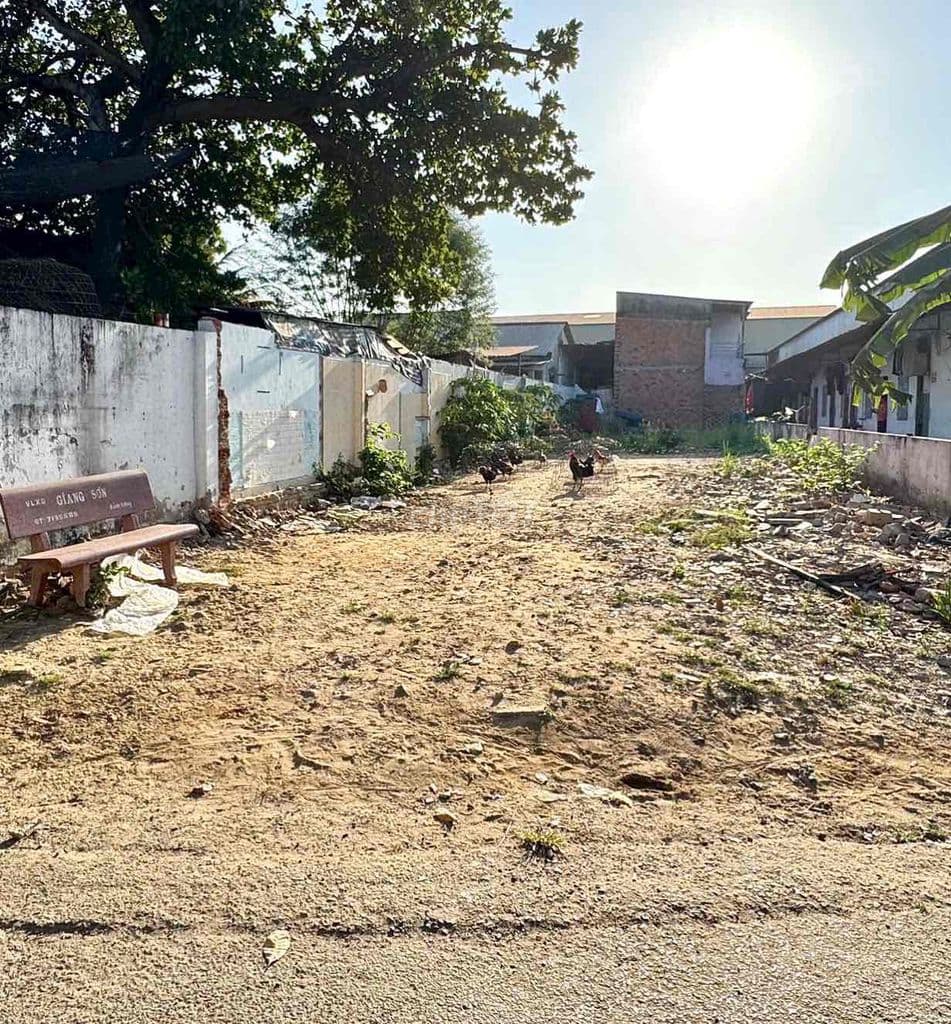 Bán Đất đường 17, Linh Trung, Thủ Đức gần Ga Metro khu CNC dt: 7x32 - Ảnh 3