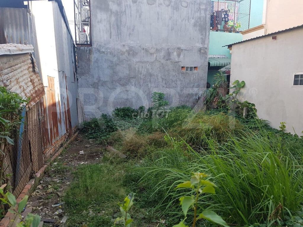 Bán đất ngay cầu Ông Thìn, chợ Quy Đức - Ảnh 3