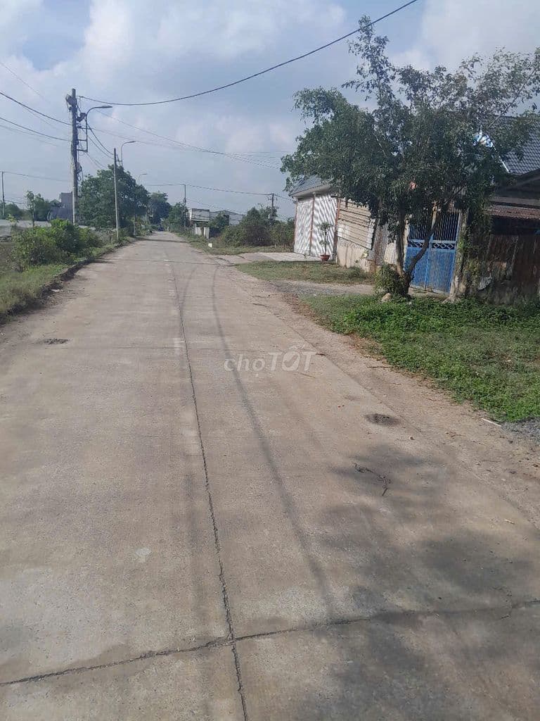 Bán 2 lô liền nhau 5*34m = 170m2. Tân Thới Nhì. Hocmon - Ảnh 3