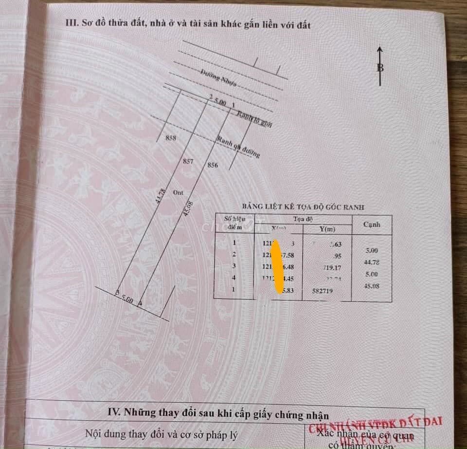 CẦN BÁN GẤP LÔ ĐẤT NGUYÊN KIM CƯƠNG 225M2 CHỈ ̃̃750 TRIỆU , SHR