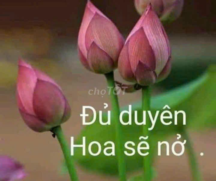 Cần tiền bán gấp lô đất thổ cư 902m2 gần ngã tư hốc môn - Ảnh 2