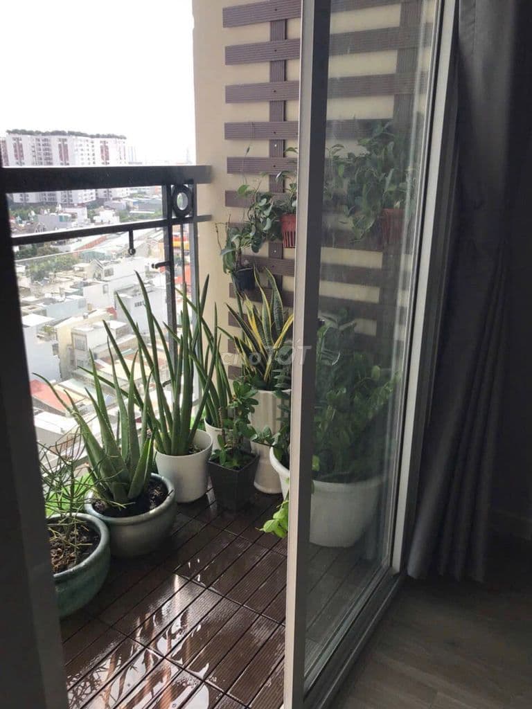 Chính chủ bán gấp căn 65m2- SHR- nội thất cao cấp - Ảnh 3