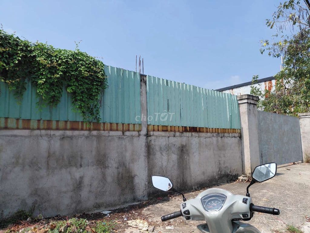 ĐẤT THỔ CƯ NGUYỄN THỊ SÁNG GIÁ RẺ - Ảnh 3