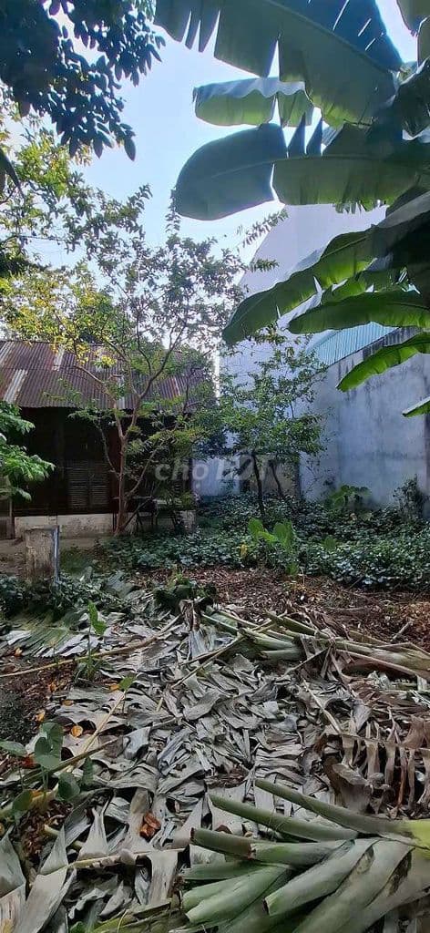 Nhà trọ - 318,8m2 Thổ Cư - Hẻm 8 Trần Thị Điệu -Tiềm năng sinh lời cao