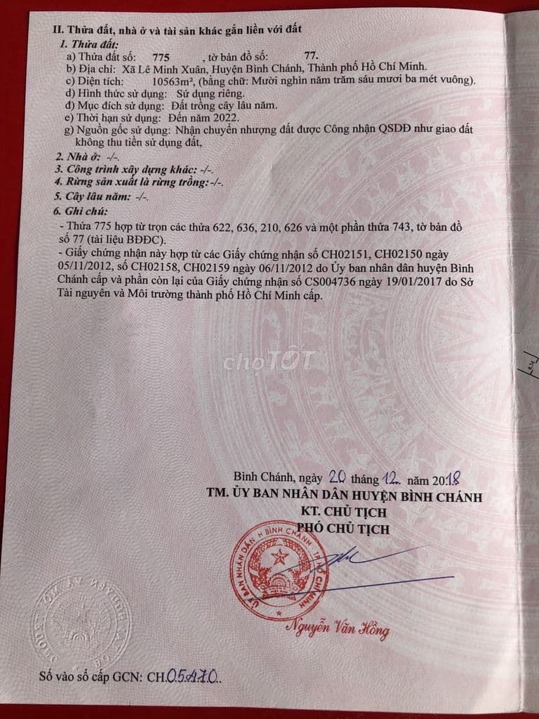 Đất cây lâu năm sát Vành Đai 3 cơ hội đầu tư sinh lời (Chính chủ). - Ảnh 2