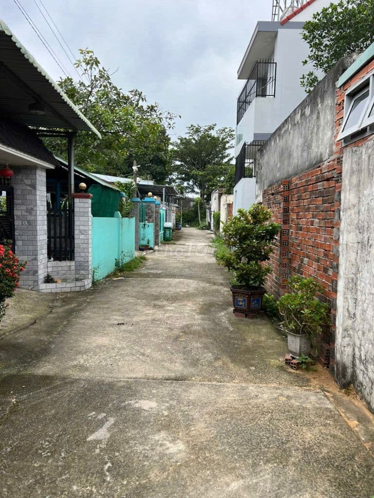 ĐẤT MT TÂN THÔNG HỘI GẦN TL2 – 90m² (8x11) CHỦ CẦN BÁN GẤP GIÁ 680TR - Ảnh 3