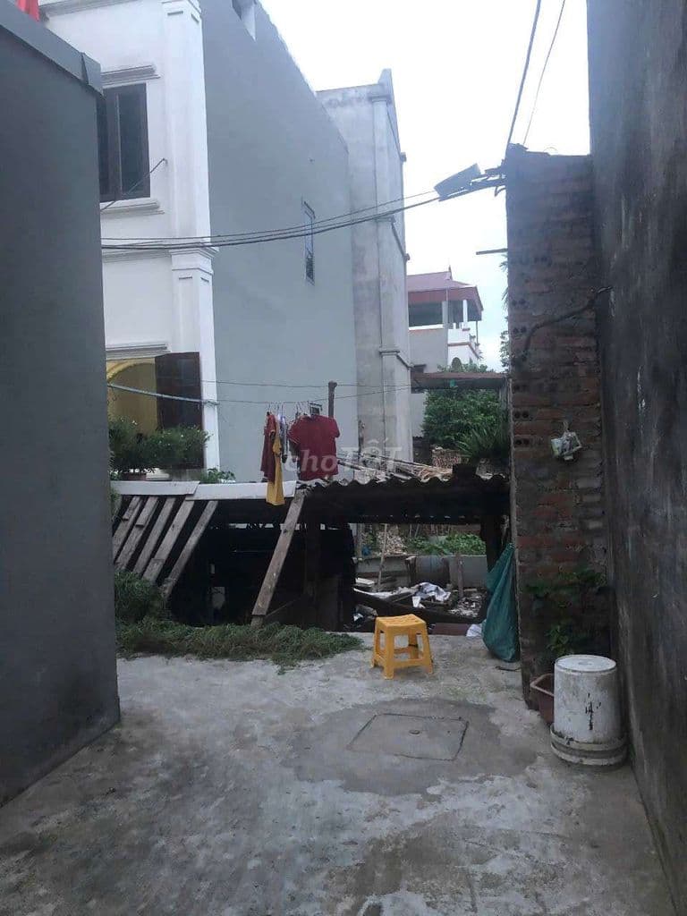 Bán đất lệ chi - Ảnh 3