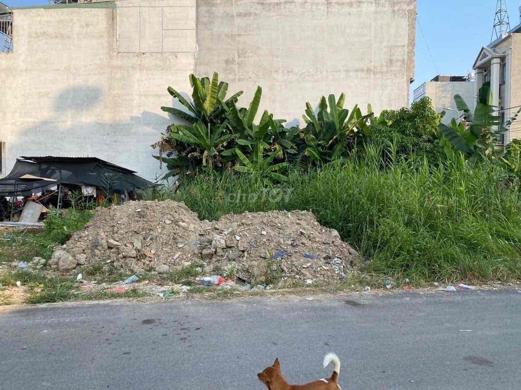 Bán đất đường Bưng Ông Thoàn , trục chính hẻm 78 giá chỉ 4ty550 - Ảnh 3