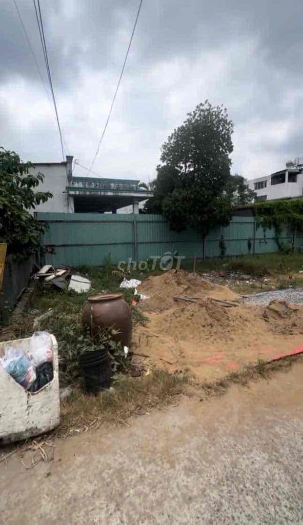 137m2 có 50m2 thổ cư đường xe hơi thị trấn Tân Túc Bình Chánh - Ảnh 3