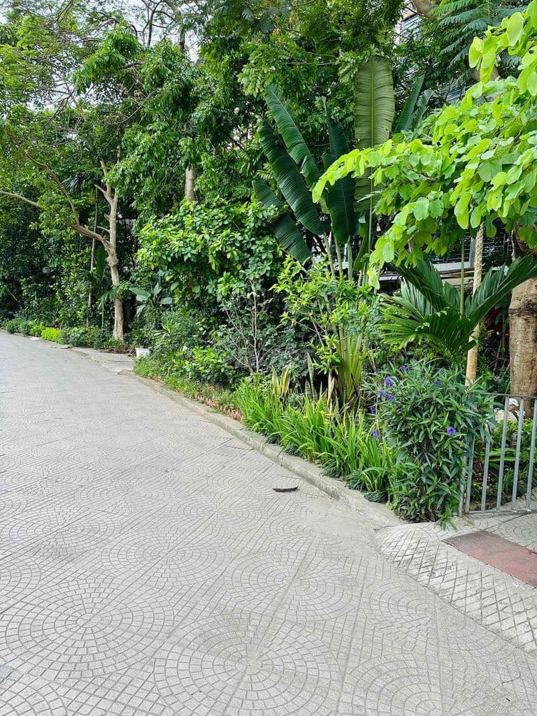 BÁN NHÀ PHỐ DƯƠNG VĂN BÉ Q.HBT-HAI MẶT NGÕ Ô TÔ -VEIW HỒ 45m2-9.x tỷ - Ảnh 2