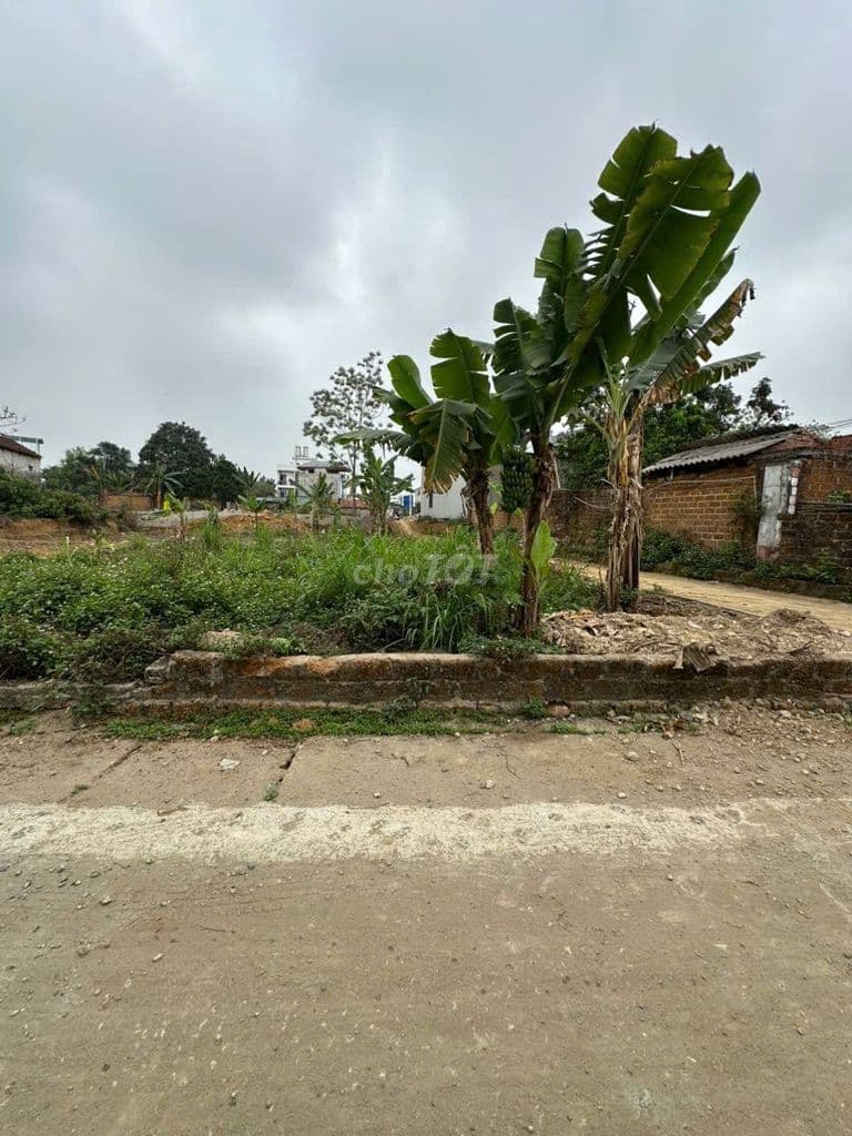 Chính chủ bán gấp lô góc hơn 100m2 thuộc Tân Xã cũ