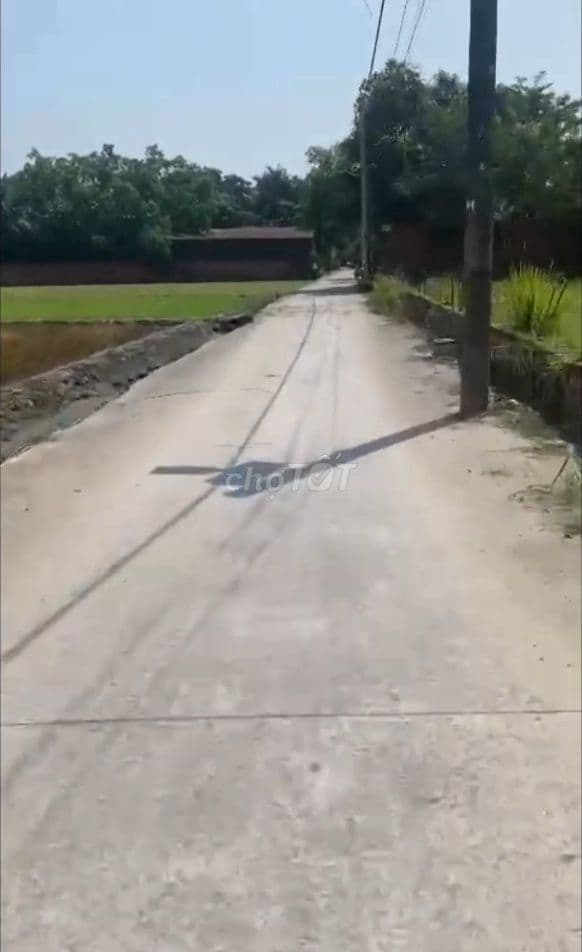 BÁN ĐẤT THỔ CƯ – CÁCH VÀNH ĐAI 3 300M – 23 TỶ TL Ở BÌNH MỸ, CỦ CHI - Ảnh 2