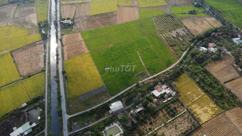 2000m2 đất nông nghiệp - tân nhựt - Ảnh 3