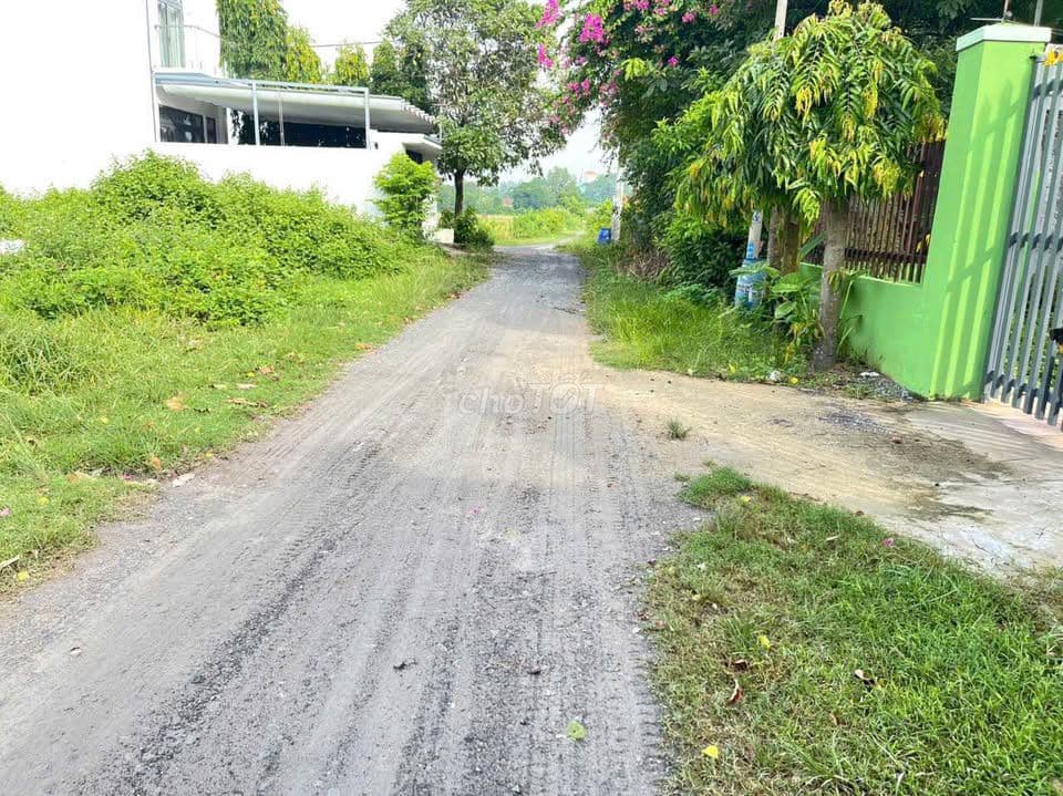 Bán gấp đất ngột Tân An Hội Củ Chi 5.2x20 full thổ cư, 550 triệu,SHR - Ảnh 2