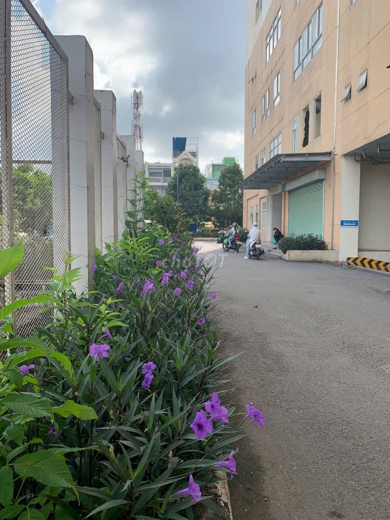 HQC HÓC MÔN 60m2,2PN, 2tolet giá 1.150 tỷ có ban công - Ảnh 2