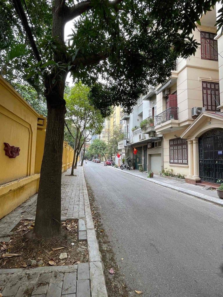 Siêu VIP Nguyễn Tri Phương, Ba Đình, 65m2, nhà 5 tầng, giá 69 tỷ - Ảnh 3