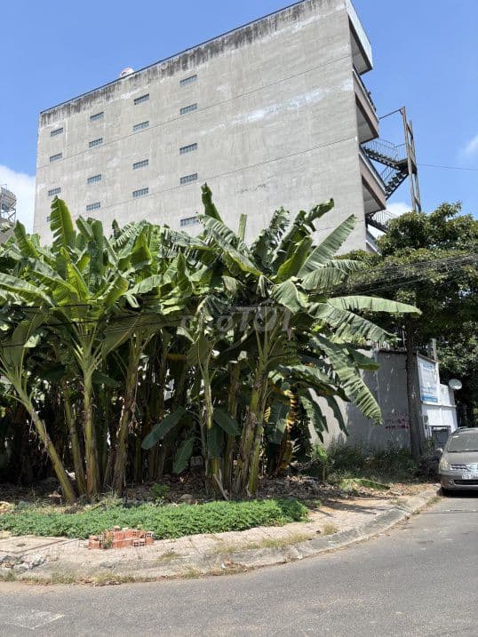 Lô góc siêu đẹp dự án Diamond Town Bưng Ông Thoàn - Ảnh 2