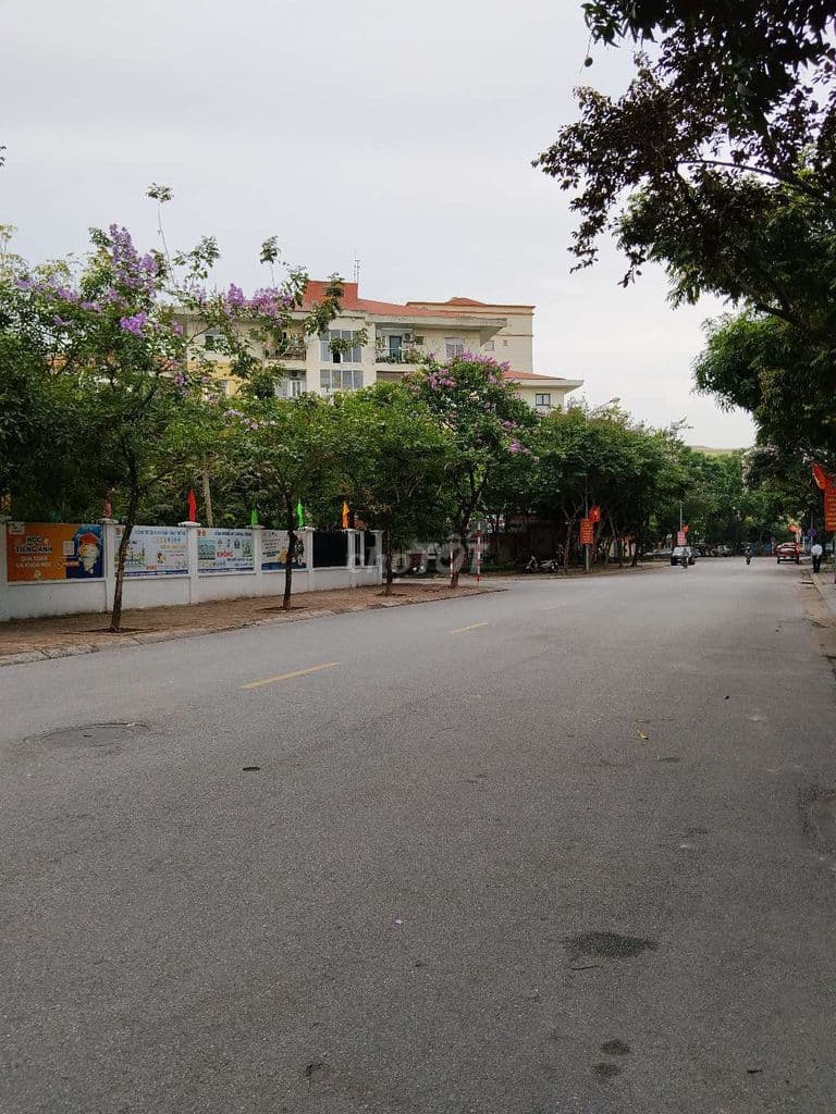 Sống xanh, Sống khỏe Sống Hạnh Phúc - Ảnh 2