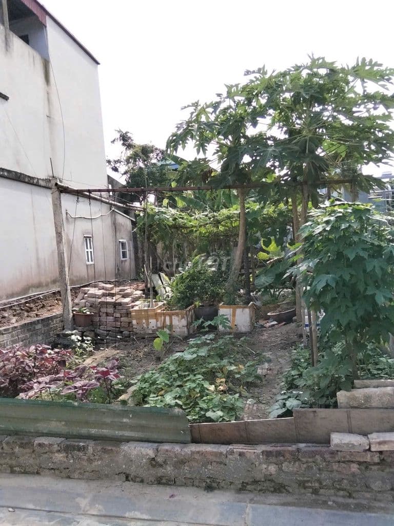 TRUNG TÂM LIÊN HÀ – THƯ LÂM, GẦN ỦY BAN, 100m²,Ô TÔ ĐỖ CỬA – CHỈ 4 TỶ - Ảnh 3