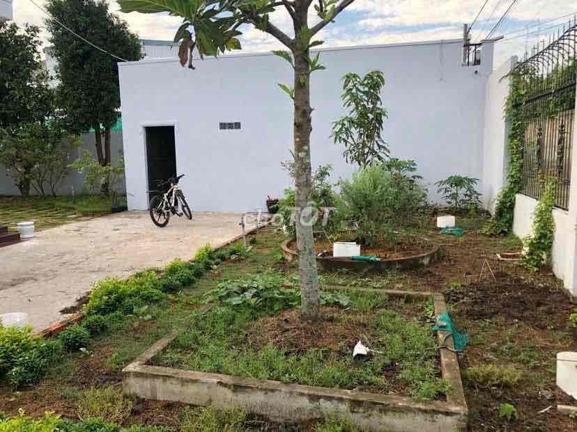 Bán Nhà Vườn Đẹp Giá Ngộp, SHR 190m2 Ở Tân Thông Hội, Củ Chi - Ảnh 3