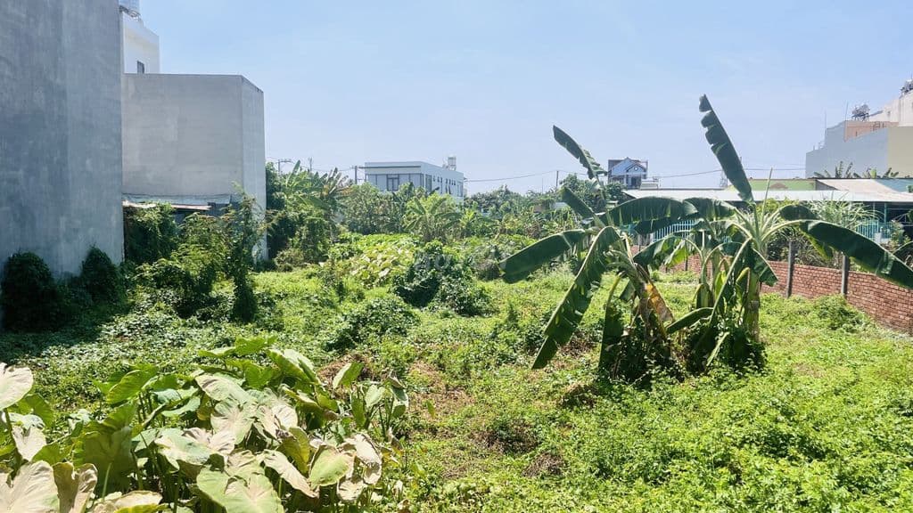 ĐẤT SIÊU PHẨM AN PHÚ ĐÔNG, Q12 - 1.436m2 - FULL THỔ CƯ - GIÁ 53.2 Tỷ - Ảnh 3