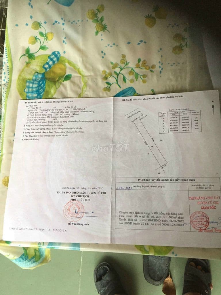 Đất mặt tiền, Củ Chi, 6x50=300m2 thổ cư, sổ riêng 1.3tỷ - Ảnh 3