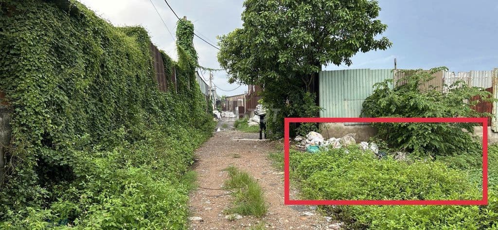Bán lô đất hẽm đường liên ấp 6-2, giá 2,6 tỷ - Ảnh 3