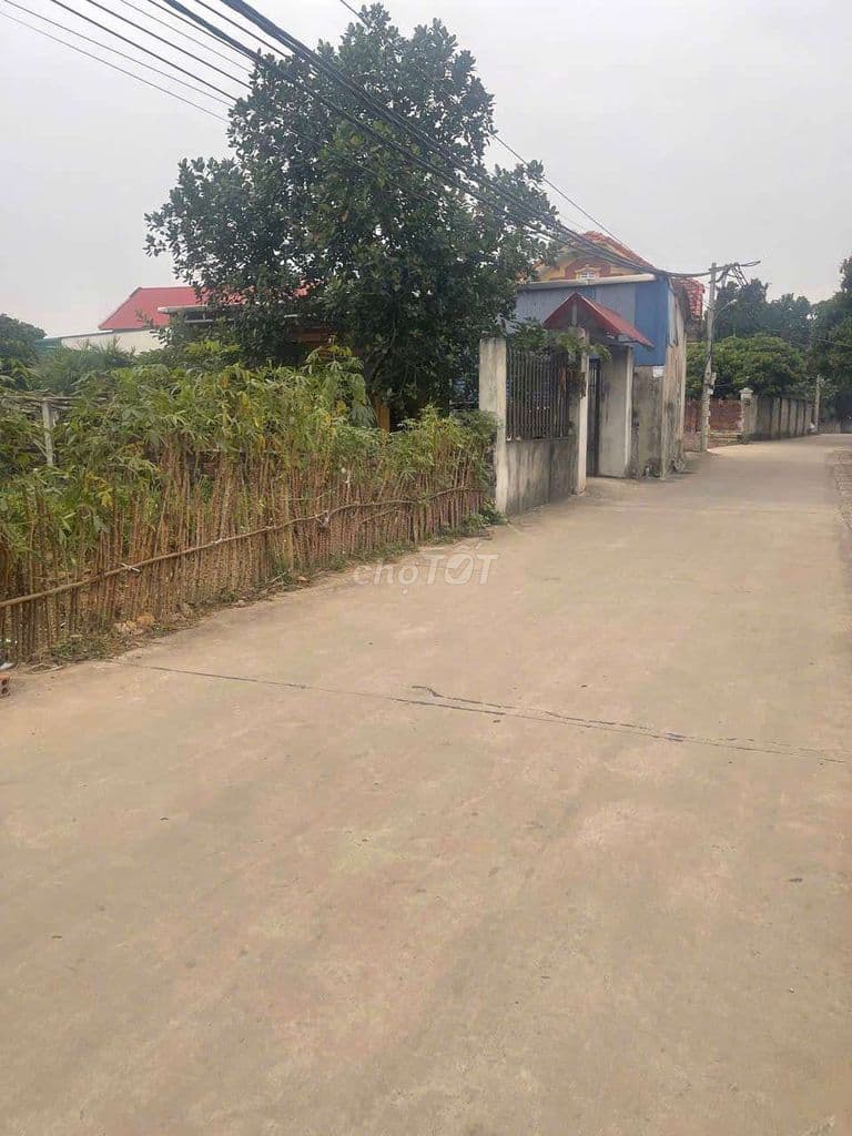 bán đất hiếm, rẻ tại mình trí cũ, giá hơn 2 tỷ. 126 m2. - Ảnh 3