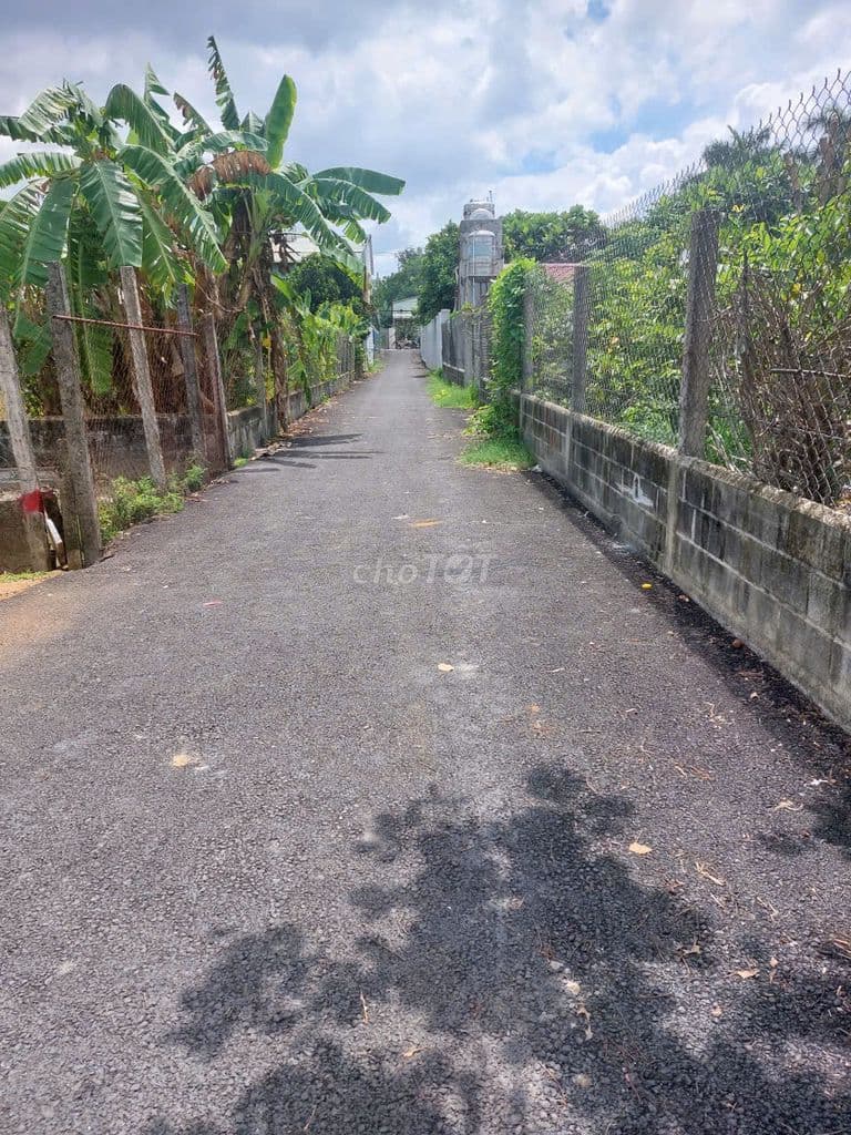 Đất Củ Chi 443m² ngang 10m ô tô vào đất chỉ 1,15 tỷ - Ảnh 2