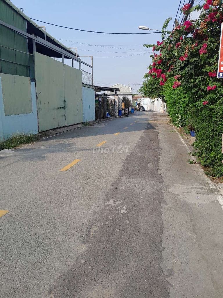 Đất 5 x 21m (104m2) Mặt tiền đường Tân Hiệp 1-3. Gần chợ Tân Hiệp - Ảnh 3